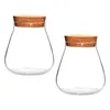 Vases 2 Pcs Cork Glass Bottle Florarium Decorative Modern Center Of Wedding Tables Sugar Bowl