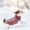 Hundkläder Stock Show Pet Ben Loges Leds Warmers Winter Warm Joint Kne Pads Breattable Soft Comant Knitwear Clothes Rack