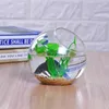 Vases Creative Vase Clear Bowl Plant Flowers Terrarium Home Decor 15cm