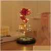 لصالح الحفلات LED Enchanted Galaxy Eternal Roses 24K Gold Respoil Foil With Fairy String Lights in Dome for Mother Valentines Day Gift DHVXM