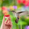 Other Bird Supplies Reliable And Long Lasting Hand Feeder Yellow For Wild Hand-held Water Feeders Plastic Red