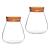 Vases 2 Pcs Cork Glass Bottle Florarium Decorative Modern Center Of Wedding Tables Sugar Bowl