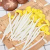 Dekorativa blommor 10 PCS Simulerade Bean Sprouts Showcase Display Props Modeller grönsaker Fake Dekoration Artificial Decors PVC Livselliknande