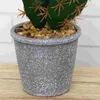 Decoratieve bloemen Decor Kleine ornamenten Kunstmatige tropische planten Indoor Simulatie Cactus Pot Ingemaakt