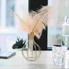 Вазы 1 комплект декоративных страусиных перьев DIY ремесла свадебное украшение шлейфа с вазой