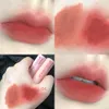 HYNTOOR Black Rabbit Macaron Lip Mud Mirror Lip Glaze Niche Brand Lipstick 240327