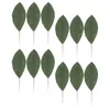 Kwiaty dekoracyjne 12PCS sztuczny magnolia liść DIY wieniec sztuczne zielone liście dekory ślubne modelek pnia