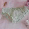 Sous-vêtements pour hommes, sous-vêtements Sissy, pochette en dentelle florale, culotte de Bikini, slip en maille transparente, culotte Gays avec nœud transparent