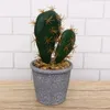 Decoratieve bloemen Decor Kleine ornamenten Kunstmatige tropische planten Indoor Simulatie Cactus Pot Ingemaakt