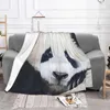 Cobertores FuBao Panda Fu Bao Cobertor Xadrez Hipoalergênico Lance para Cama Viagem Acampamento