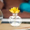 Vaser granatäpple glas vas spis blomma växter färska buketter staty för blommor liten dekor hydroponics container kontor