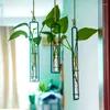 Vasi Mini vaso in vetro in corda per piante, contenitore da parete, decorazione per soggiorno in ferro battuto idroponico