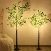 Kwiaty dekoracyjne oświetlone Eukaliptus Tree Plug In Warm White LED sztuczna zieleń ze światłami na wesele Dekorację domu 4 stóp 6 stóp