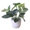 Carpets 1PC Potted In Pot Green Bonsai With White Round Light Up