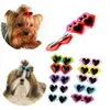 犬のアパレル5pcs/setヘアクリップサングラスヘアピンバレットハートシェイプ子犬猫のためのペット