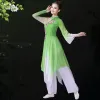 chinese Folk Dance Classical Yangko Dance Costumes Adult Elegant Embroidery Fan Costume Ancient Hanfu Clothing Square Dance k4es#