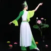 Klassieke Chinese Volksdans Kostuum Vrouw Yangko Dans Kleding voor Stadium Hanfu Kleding Traditial Taille Drum Dansvoorstelling E28f #