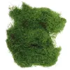 Dekorativa blommor Simulerade Moss Turf Simulation Artificial For Diy Project Decor Pearl Cotton Fake