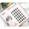 False Eyelashes Glue-Free Self-Grafting Segment Single Cluster Flare Lashes Magnetic Korean Makeup Lash Extension