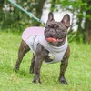 Vêtements de chien Harnais de gilet d'été Harnais respirant pour animaux de compagnie Vêtements de refroidissement Chiens Fournitures de santé Exercice Alpinisme