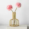 Vases 1PC Creative Bottle Flower Arrangement Decoration Nordic Style Iron Art Dry Transparent Glass Hydroponic Test Tube Small