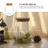 Vases Cork Glass Bottle DIY Art Crafts Storage Pot Plant Stand Bubble Bowl High Borosilicate