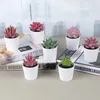 Decorative Flowers 3PCS/Set Mini Artificial Potted Plant Scene Desktop Home Office Decor Tabletop Succulent Plants Bonsai Wedding Party