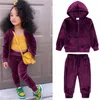 Kids Clothing Sets Sweaters Hoodies Fashion Autumn Girl Boy Sweatshirts Toddler Baby pleuche Coats Tops +pants 2pcs Suit Children Tracksuit