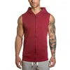 Men's Hoodies Sleeveless Gyms Hooded Double Zipper Tank Tops Hip Hop Vest Hoodie Drawstrings T Shirts Summer Vests Loose Camisetas T-shirts