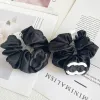 Barrettes Hair Clips Barrettes Hair Rubber Bands Luxury Designer Letter Hair Rubber Bands Hair Ring Brandd Classic Style for Charm Wome