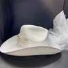 1pc Bride Cowgirl Hat With Veil Novety Cappone da cowboy Cappello da spiaggia estivo Cowgirl con LG velo Western Fancy Dr Accory N3GV#