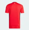 24-25 Wales Soccer Jerseys Bale Wilson Allen Ramsey National Team Rodon 24 25 Home Football Shirt Kort ärm Vuxna uniformer Fans Player Version 666