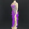 new Sexy Purple Sequins Crystals Feather Lg Dr Women Dancer Team Latin Modern Dance Costume Nightclub Bar Party Stage Wear w4sb#