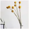 Couronnes de fleurs décoratives 10pcs séchées Craspedia jaune Billy Balls pour bouquet décor couronne de Noël bricolage sans vase livraison directe maison Dhntm