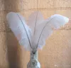 Vacker Rose Flower White Ceramics Vases Artifical Flower Vase Ostrich Feather Vase for Wedding Party Home Decoration 1PCSLOT5339873