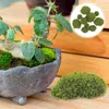 Dekorativa blommor imiterade mossiga dekor konstgjorda stenprydnad falska mögel stenar kontor diy bonsai stenar gröna