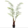 Dekorativa blommor 2m Golden Monkey Fern inomhus golvdekoration Pseudo-Green Bonsai Plant Simulation of False Trees