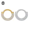 810mm G23 haute qualité Zircon pierre Segment anneaux ouvert petit Septum Piercing nez boucles d'oreilles corps Piercing 16G 240321