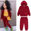 Moda crianças conjuntos de roupas menina menino hoodies moletom da criança do bebê pleuche casacos topos + calças 2 pçs terno crianças treino outfit