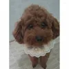 Vestuário para cães Acessórios para animais de estimação Lace Bow Bib Scarf Slobber para VIP Cat Tie Puppy Fashion Collar