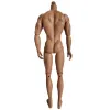 Original Ken Adonis Muscle Body White Latino Skin Tone 1/6 Dolls Fogar Moverble Manlig dock Body