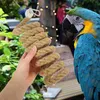 Andra fågelförsörjningar som hänger rep leksak papegoja leksaker står svängande abborre för parakit burburar hammock