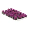 装飾的な花フラワークラスターモデル樹脂材料妖精の風景飾り紫色のミニガーデン人工