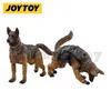 JOYTOY 1/18 Action Figure 2 PZ/SET Militare Cane Canino Anime Collezione Modello Militare 240328