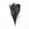 Party Decoration Fashion Clothes Decals DIY Decor Natural Plume Artwork Ornaments Peacock Eye Feathers Tail