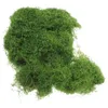 Decorative Flowers Simulated Moss Turf Plant Decor Artificial For DIY Project False Crafts Potted Planter Silk Cotton Fake Green