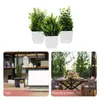 Decorative Flowers 3 Pcs Simulated Potted Plant Artificial Plants Decor Adornments Small Fake Desktop Pp Decors