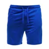 Мужские шорты 2024, сплошной цвет, повседневная свободная пляжная одежда Camisa Masculina, уличная одежда, модные брюки, одежда