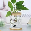 Vases Micro Landscape Glass Bottles With Wooden Stopper Ecological Bottle Round Flower Vase Hydroponic Container Home Decor