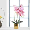 Dekorativa blommor phalaenopsis orkidé simulerade bonsai brud utomhus faux växter konstgjord blomkruka silkesimulering